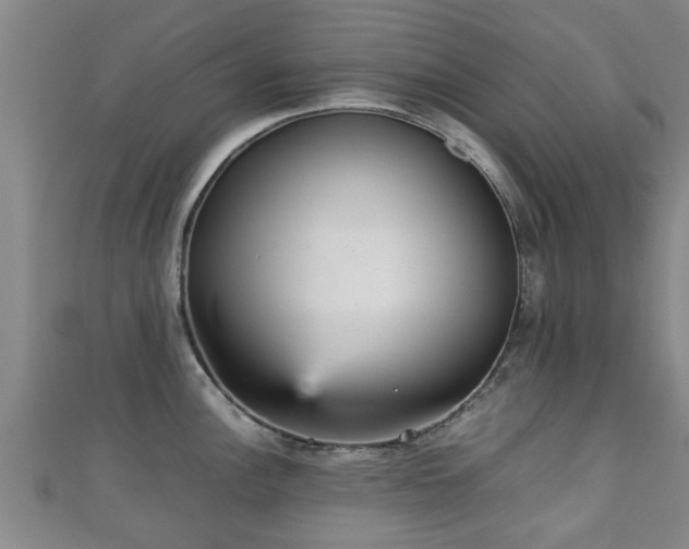 X0000111351148200907171137