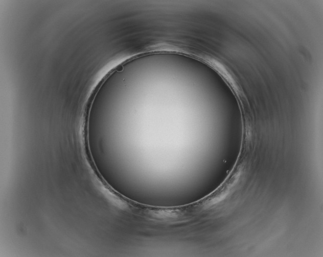 X0000111351149200907171137