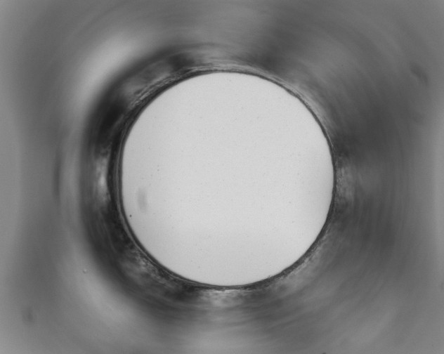 X0000111351150200907171137