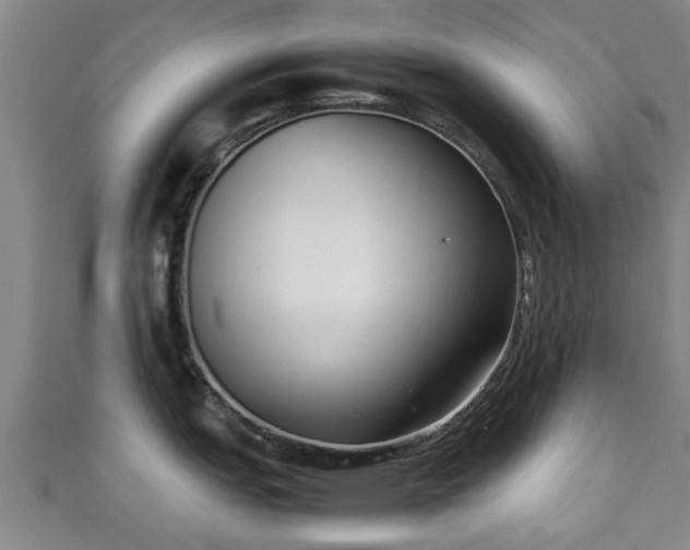 X0000111351151200907171137