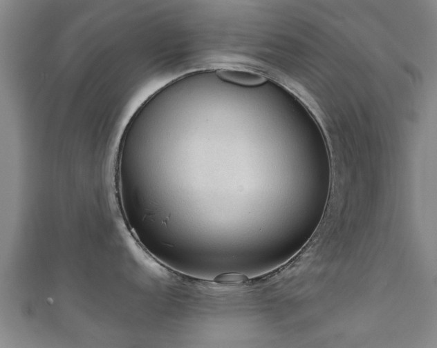 X0000111351152200907171137