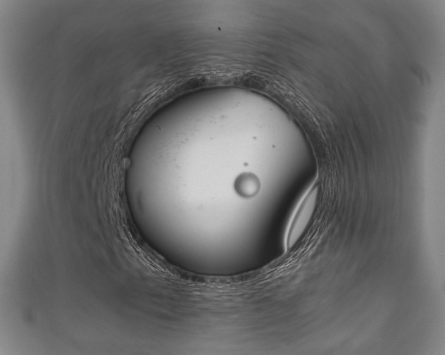 X0000111351153200907171137