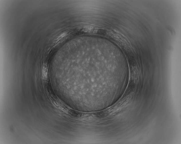 X0000111351154200907171137