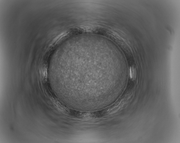 X0000111351155200907171137