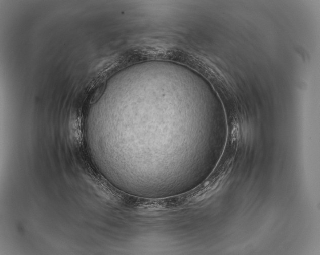 X0000111351156200907171137