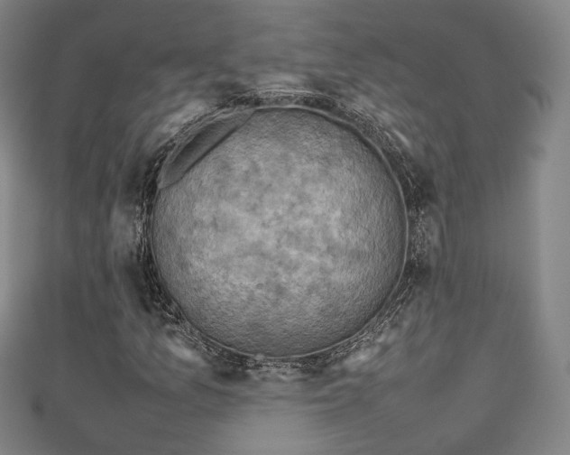 X0000111351157200907171137