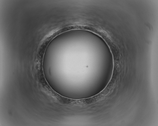 X0000111351159200907171137