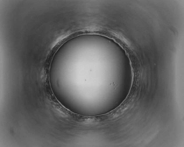 X0000111351160200907171137