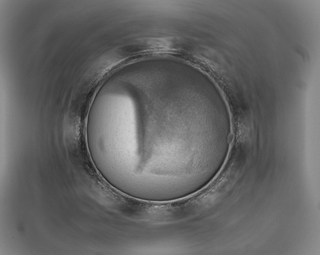 X0000111351161200907171137