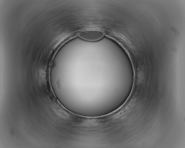 X0000111351162200907171137