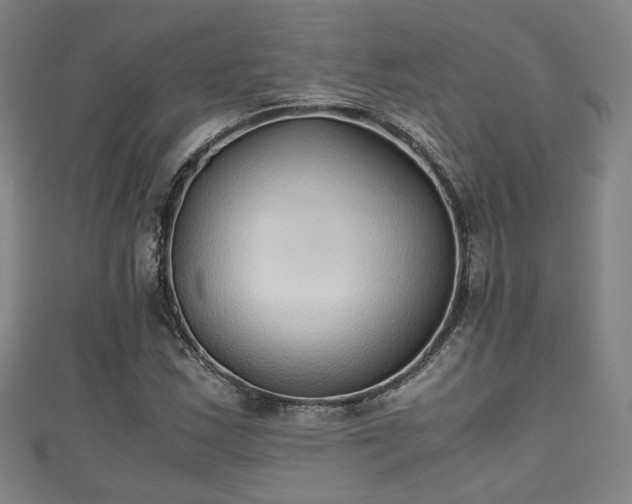 X0000111351163200907171137