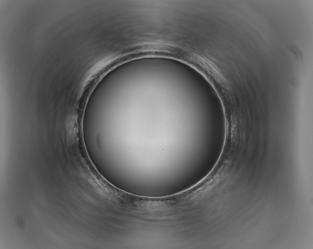 X0000111351164200907171137