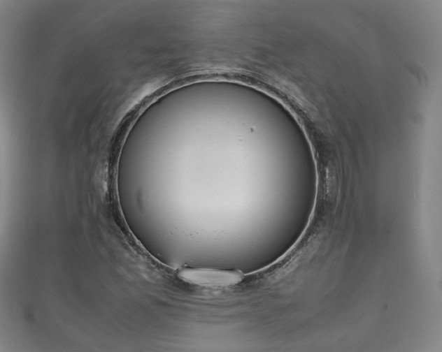 X0000111351165200907171137