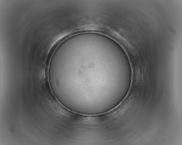 X0000111351166200907171137