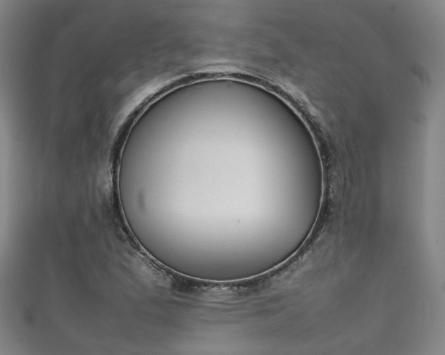 X0000111351167200907171137