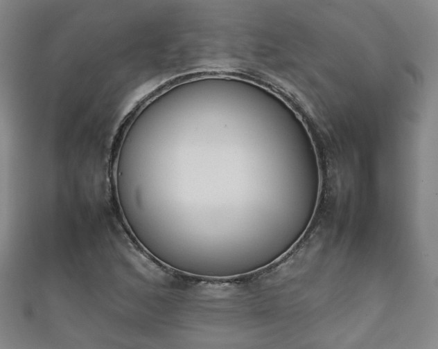 X0000111351168200907171137