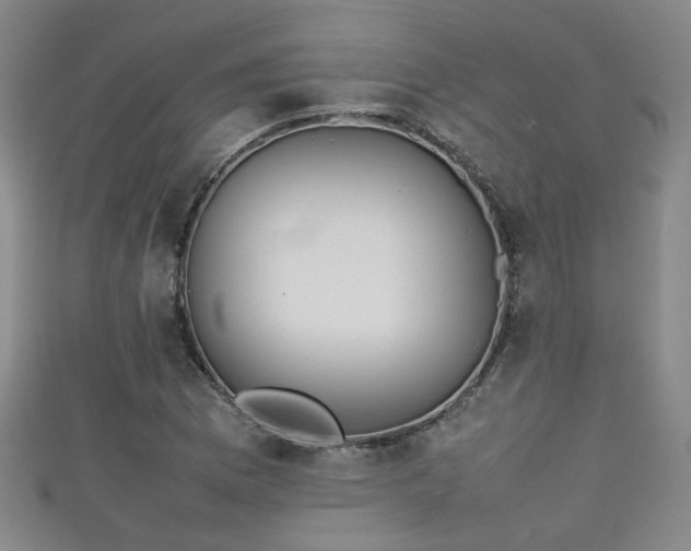 X0000111351169200907171137