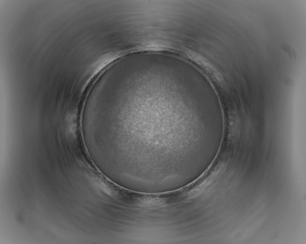 X0000111351170200907171137