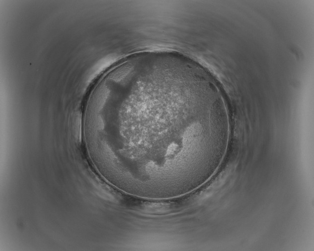 X0000111351171200907171137