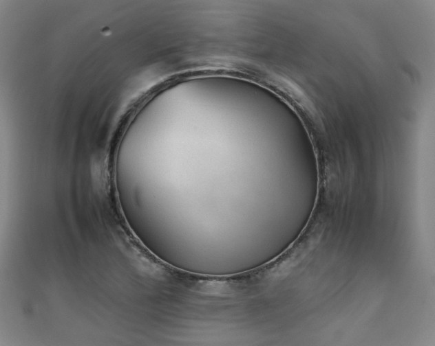 X0000111351172200907171137