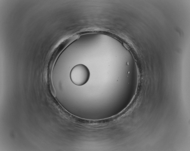 X0000111351173200907171137