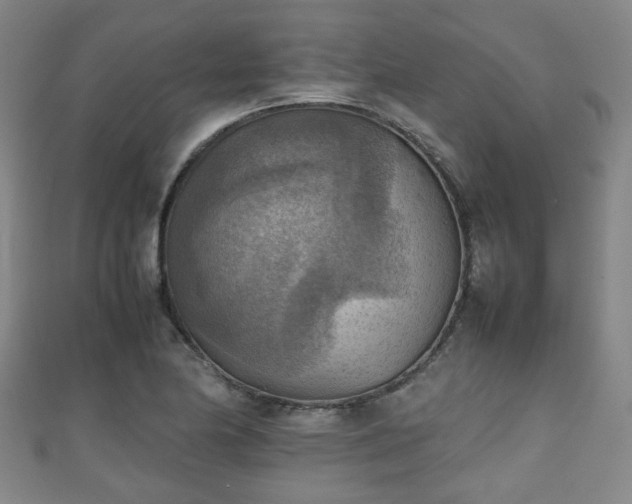 X0000111351174200907171137