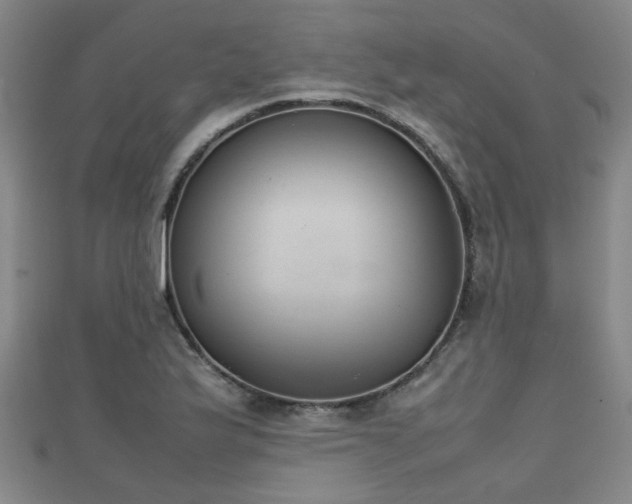 X0000111351175200907171137