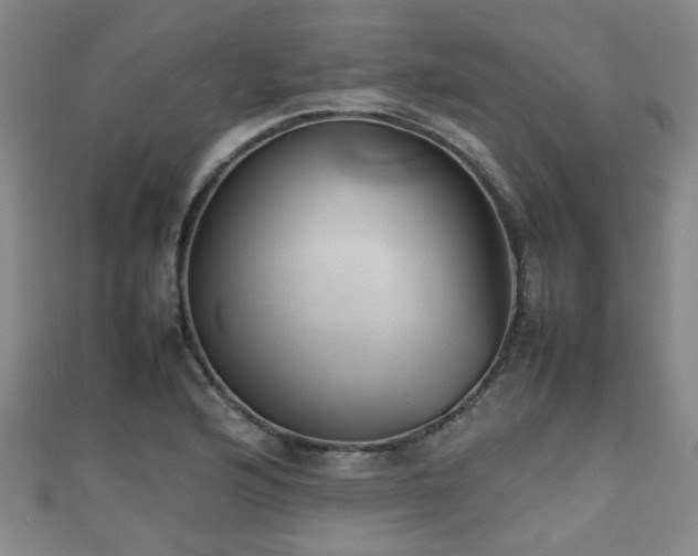 X0000111351176200907171137