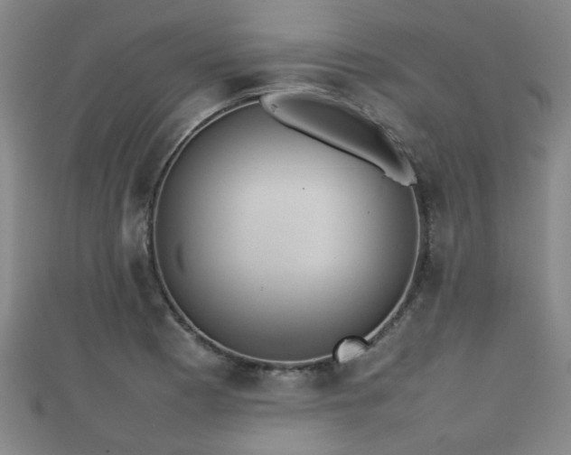 X0000111351177200907171137