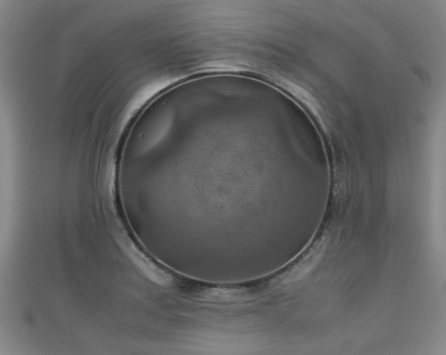 X0000111351179200907171137