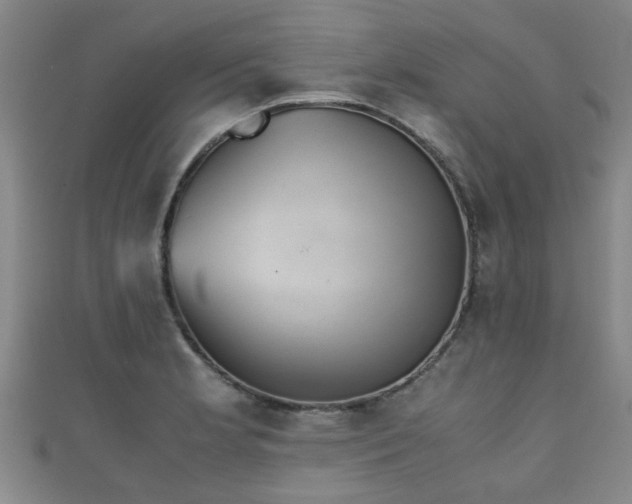 X0000111351181200907171136