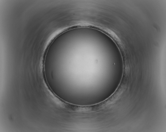 X0000111351183200907171136