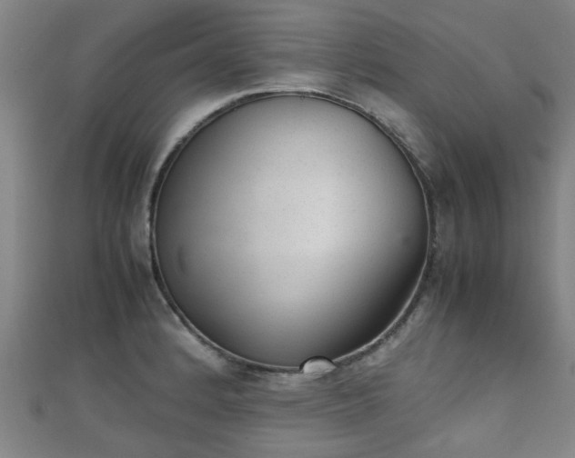 X0000111351184200907171136