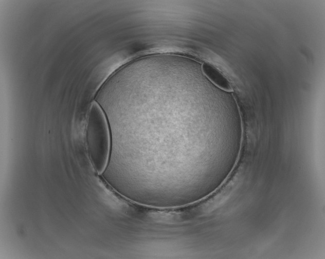 X0000111351185200907171136