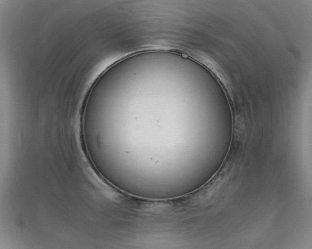 X0000111351187200907171136