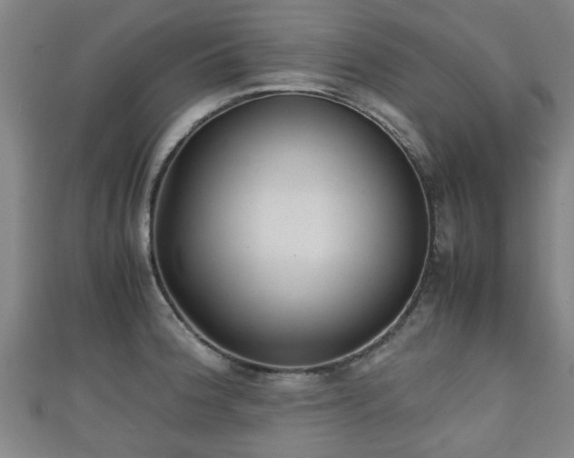 X0000111351188200907171136