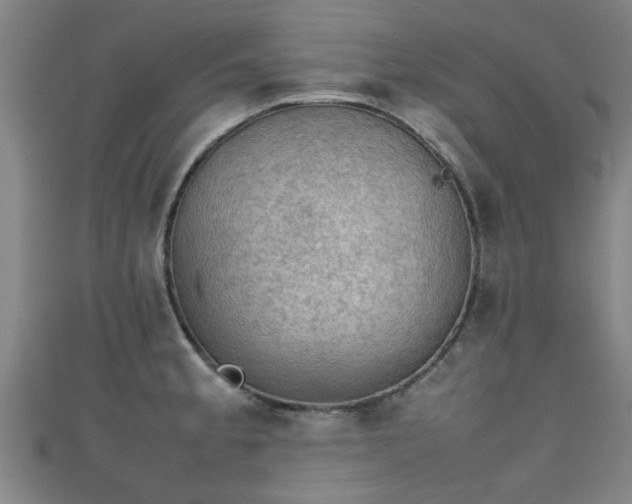 X0000111351189200907171136