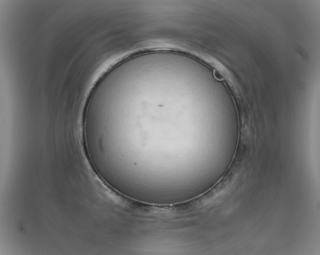 X0000111351191200907171136