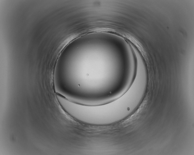 X0000111351193200907171136