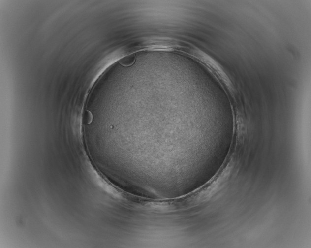 X0000111351194200907171136