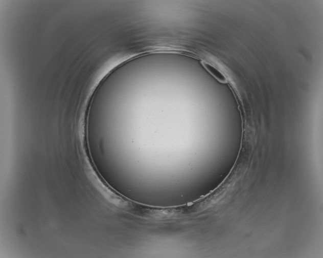 X0000111351195200907171136