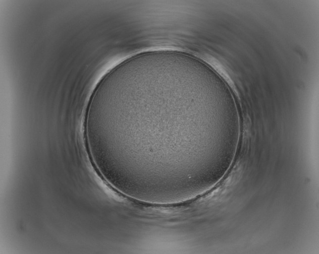 X0000111351197200907171136