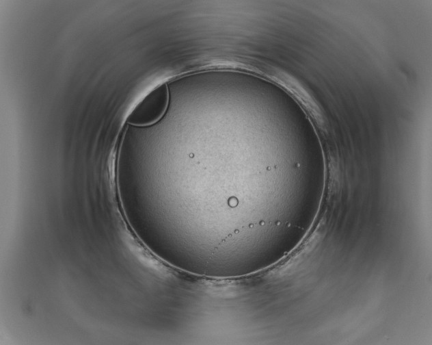 X0000111351198200907171136