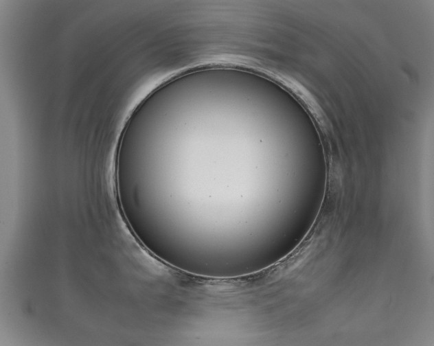 X0000111351199200907171136