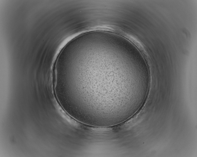 X0000111351200200907171136