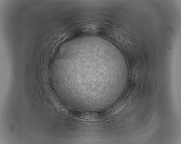 X0000111351201200907171136