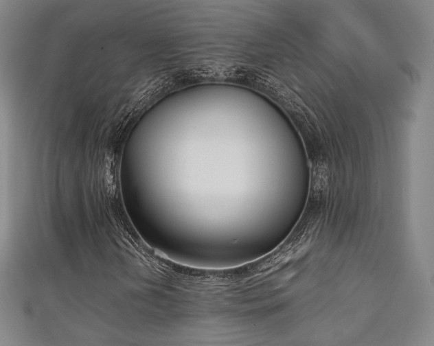 X0000111351202200907171136