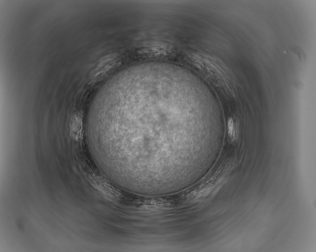 X0000111351203200907171136