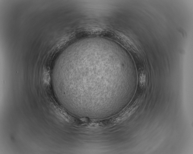 X0000111351204200907171136