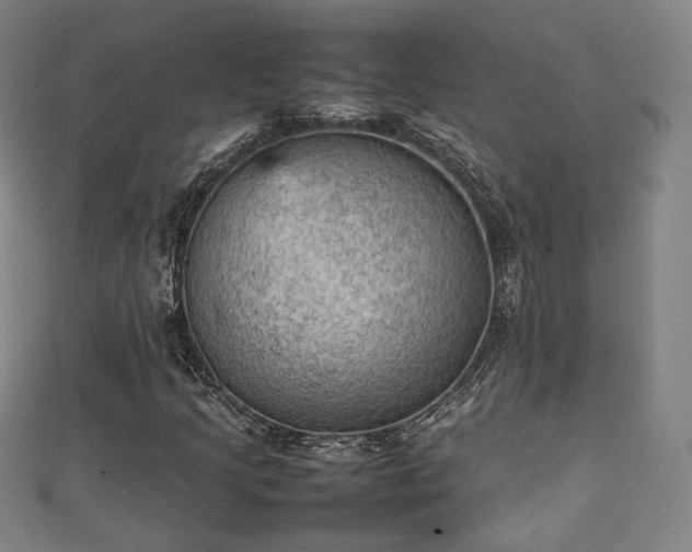 X0000111351205200907171136